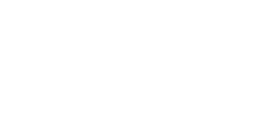 DXG logo